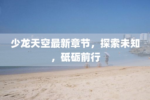 少龍?zhí)炜兆钚抡鹿?jié)，探索未知，砥礪前行