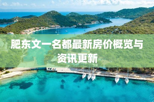 肥東文一名都最新房價概覽與資訊更新