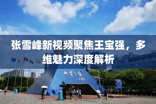 張雪峰新視頻聚焦王寶強，多維魅力深度解析