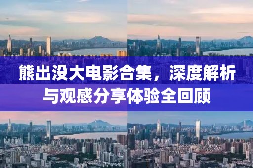 熊出沒大電影合集，深度解析與觀感分享體驗(yàn)全回顧