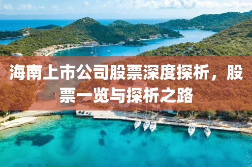 海南上市公司股票深度探析，股票一覽與探析之路