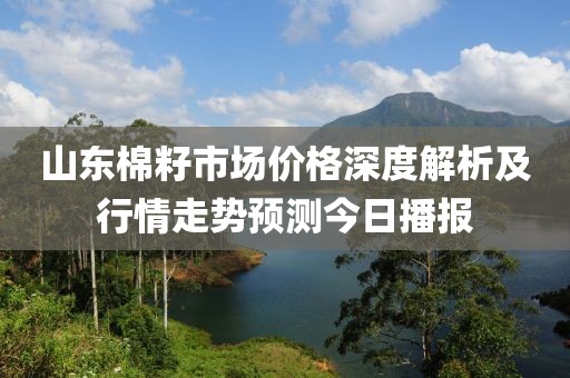 山東棉籽市場價格深度解析及行情走勢預測今日播報