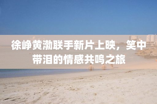 徐崢黃渤聯(lián)手新片上映，笑中帶淚的情感共鳴之旅