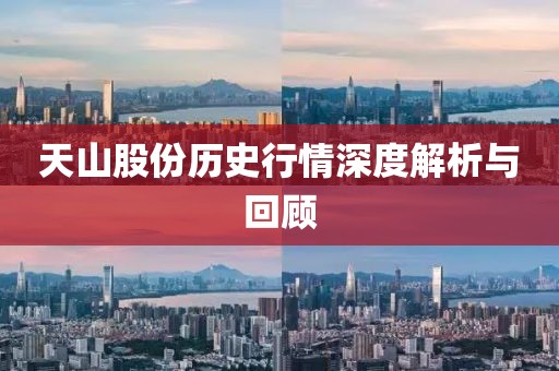 天山股份歷史行情深度解析與回顧