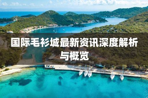 國(guó)際毛衫城最新資訊深度解析與概覽