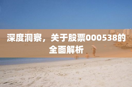 深度洞察，關(guān)于股票000538的全面解析