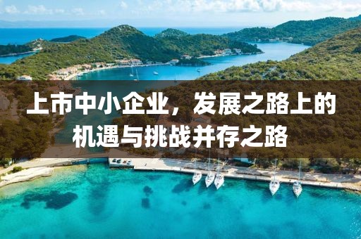 上市中小企業(yè)，發(fā)展之路上的機(jī)遇與挑戰(zhàn)并存之路