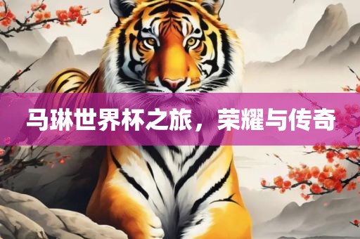 蘇州股票配資詳解，探索與解析之道