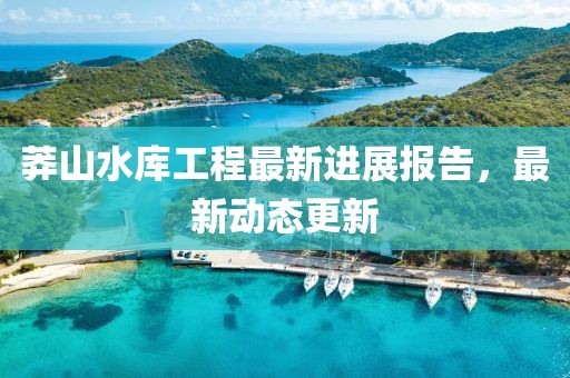 莽山水庫工程最新進展報告，最新動態(tài)更新