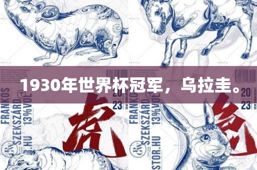 牲豬行情深度分析