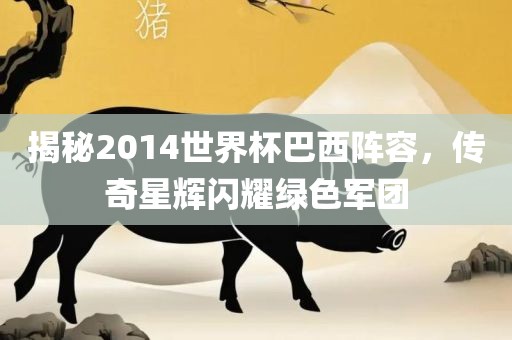 健身比基尼比賽服裝，時(shí)尚競(jìng)技的完美融合