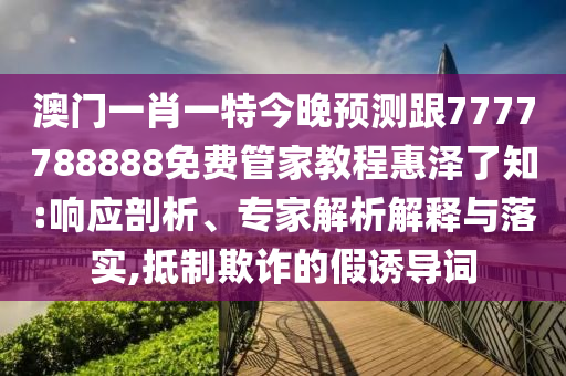 最新湯姆貓跑酷版，游戲魅力與特色深度解析