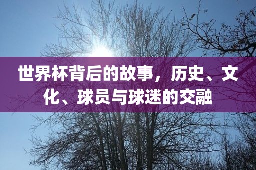 越南與中國深化合作，共謀發(fā)展新動態(tài)