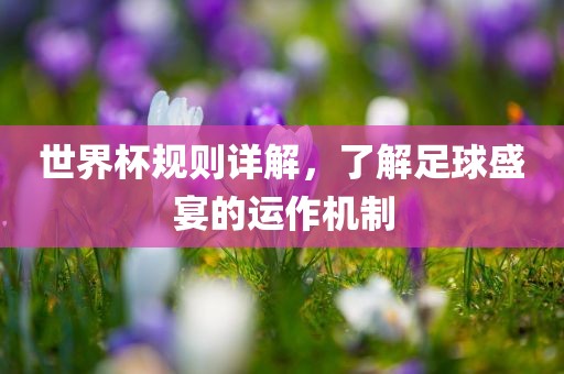 探索電影藝術(shù)魅力的旅程，71電影回顧與賞析