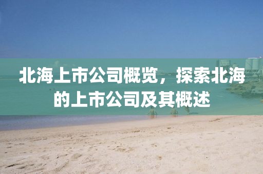 北海上市公司概覽，探索北海的上市公司及其概述
