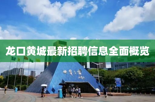 龍口黃城最新招聘信息全面概覽