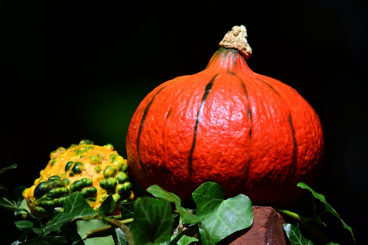 杏果飄香季，探尋杏幾月上市的季節(jié)