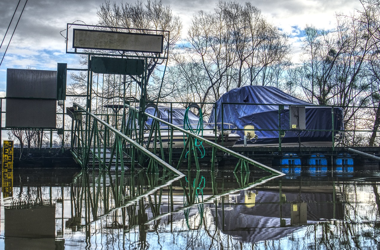 正寧最新資訊概覽，時事動態(tài)一網(wǎng)打盡