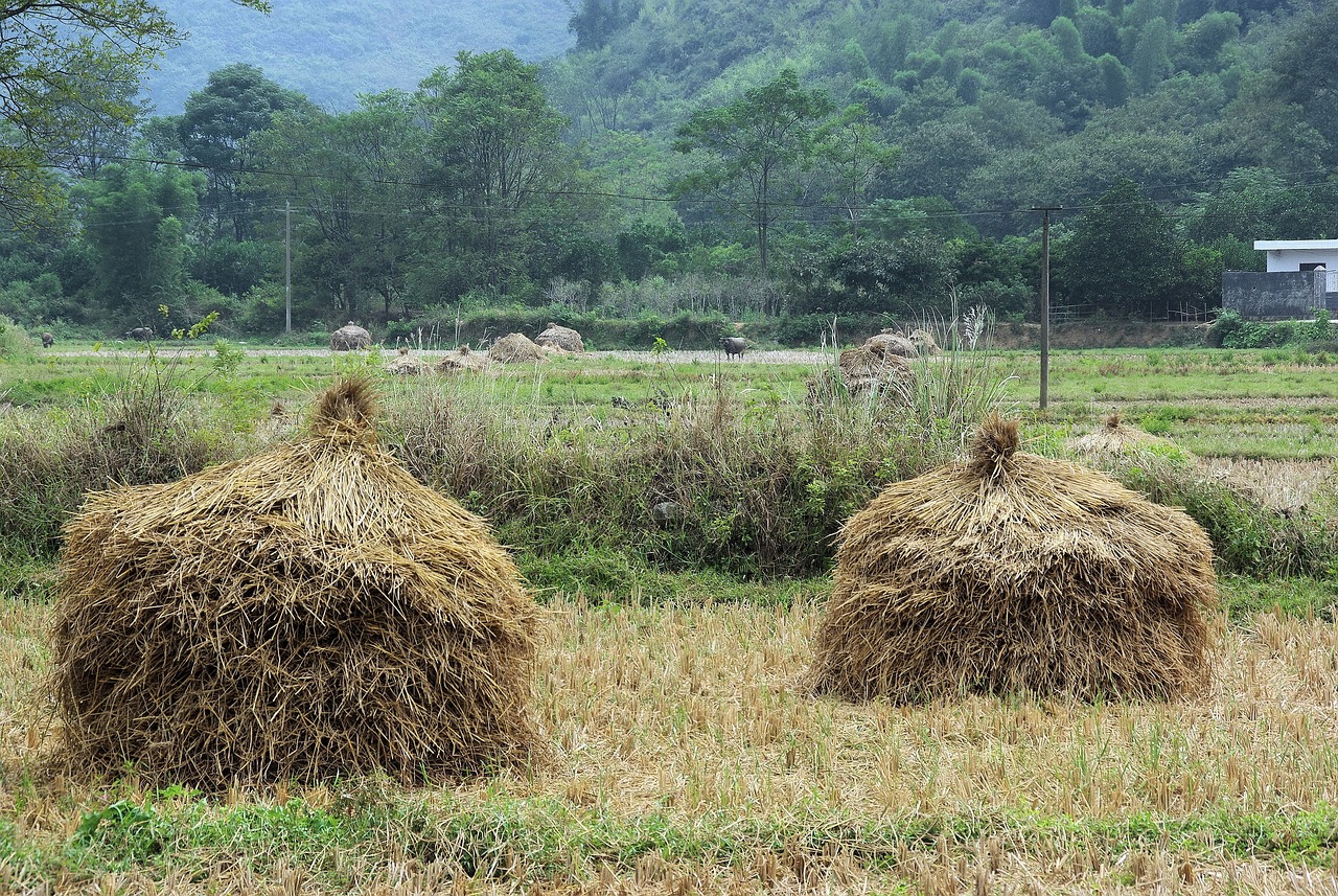思瑞浦動態(tài)，科技創(chuàng)新的先鋒引領(lǐng)者