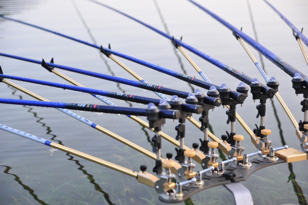 魚桿魚具價(jià)格全面解析，深度了解市場行情與購買指南