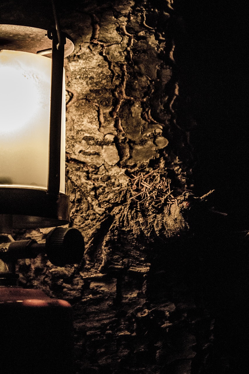 九賽溝最新動態(tài)，自然美景與持續(xù)發(fā)展的和諧共生