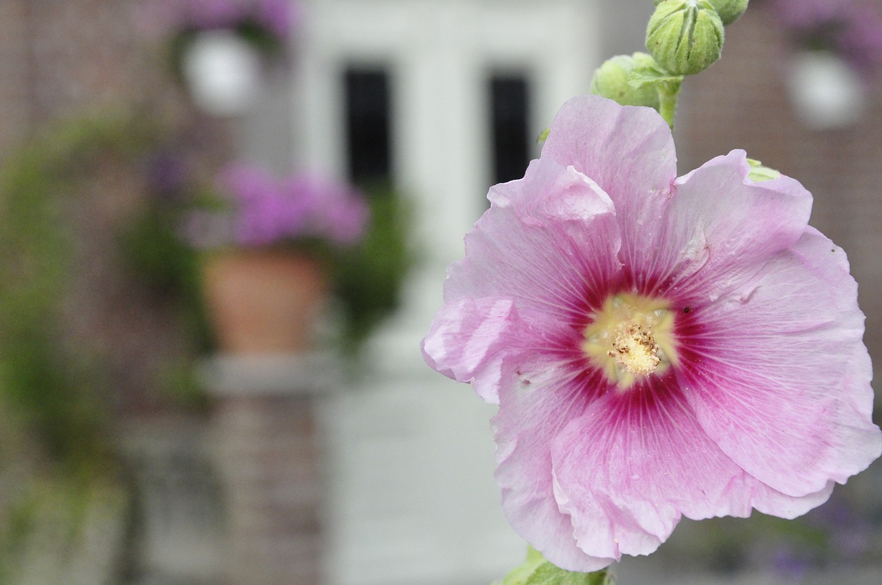 最新QQ動(dòng)態(tài)語錄，感悟生活，記錄成長的瞬間