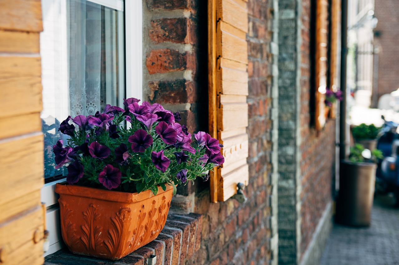 遇見你 第41頁(yè)