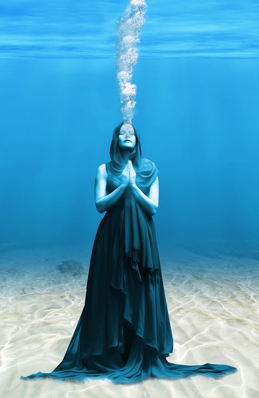 刀客家族的女人演員陣容及角色深度解析