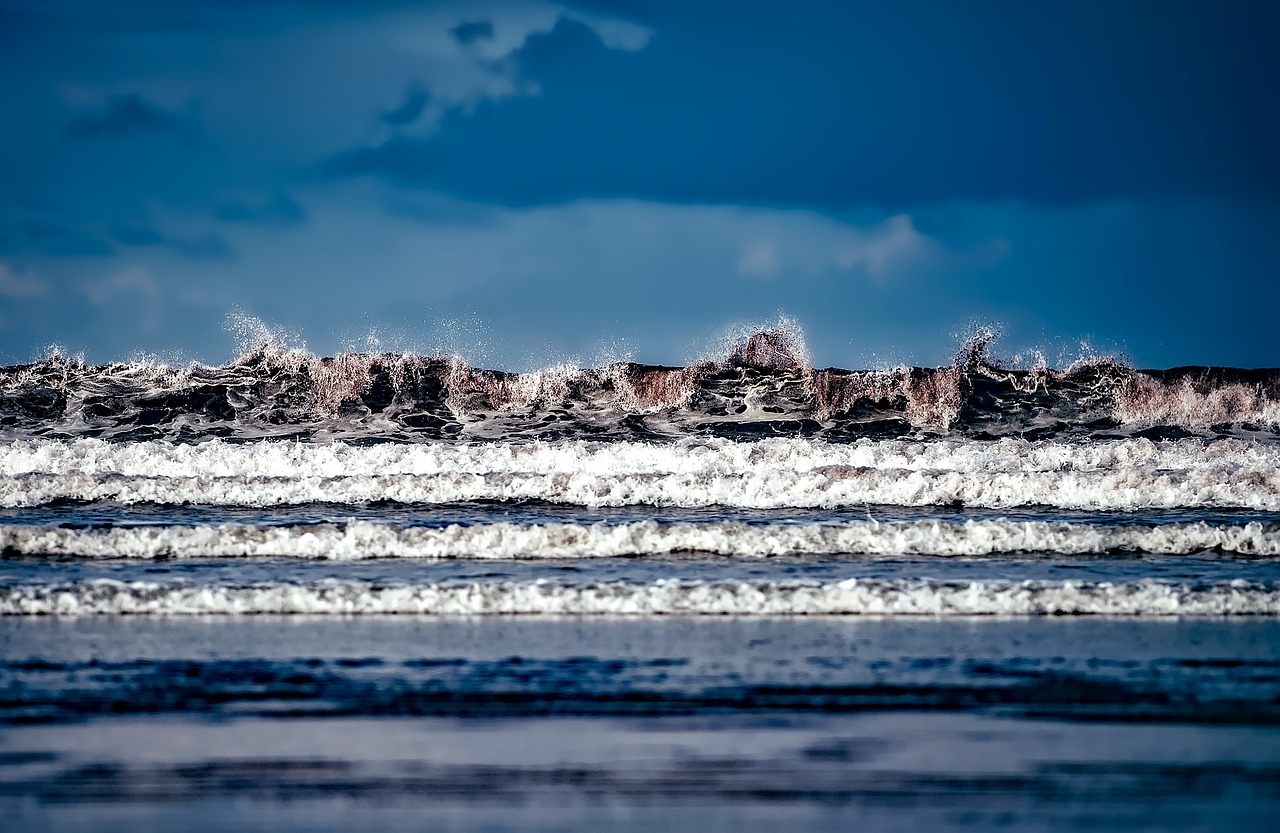 西城區(qū)劉躍平最新動態(tài)，引領(lǐng)發(fā)展，探索未來之路。