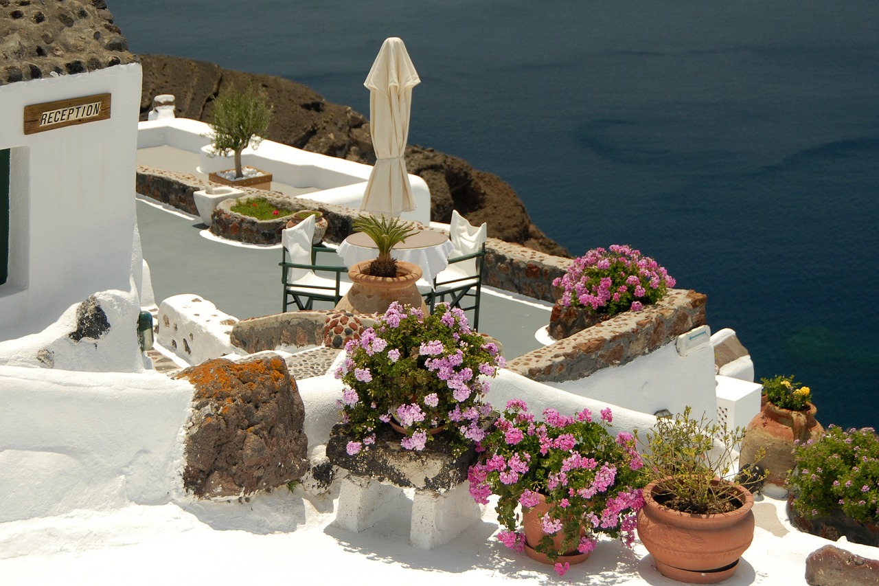 金灣航空新城蓬勃發(fā)展展望，最新動態(tài)與未來展望