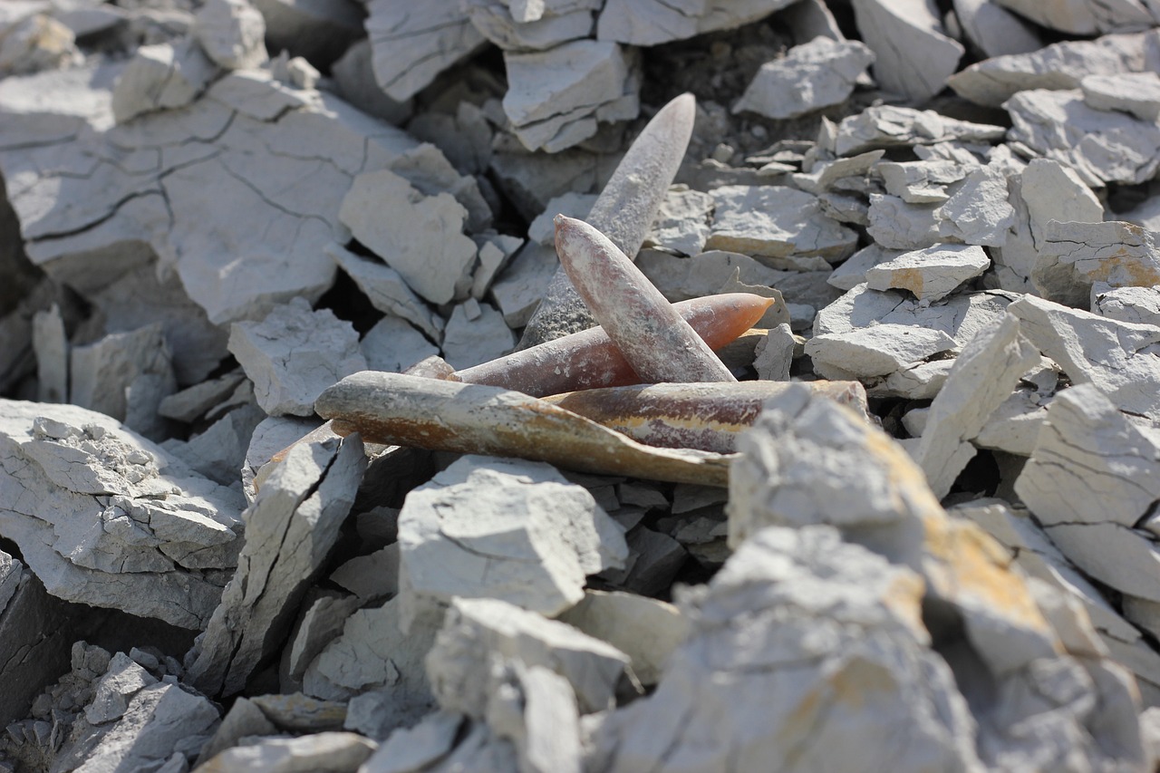秦先生新動態(tài)，展現時代潮流與多元風采的引領者