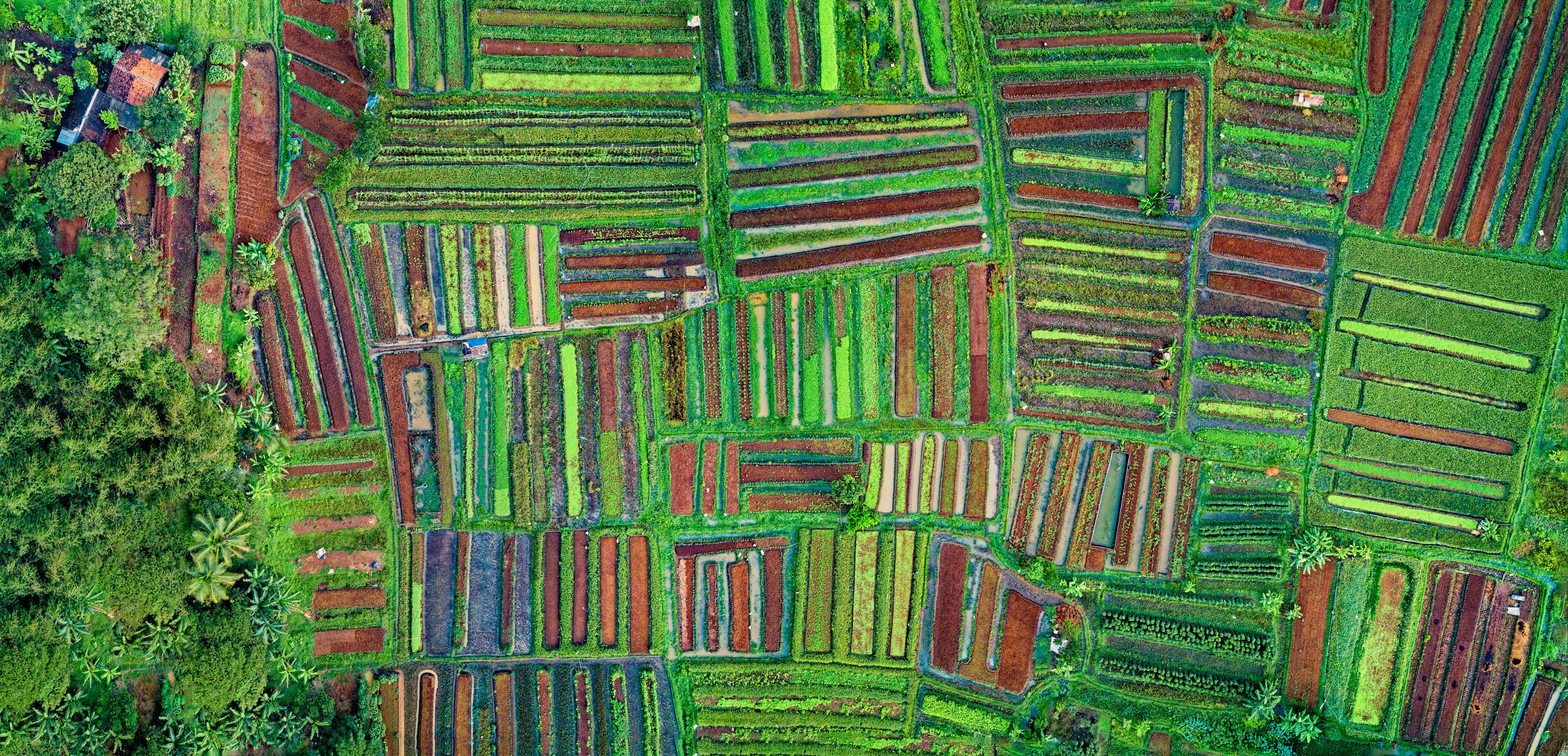 小區(qū)攝影比賽，捕捉生活中的精彩瞬間