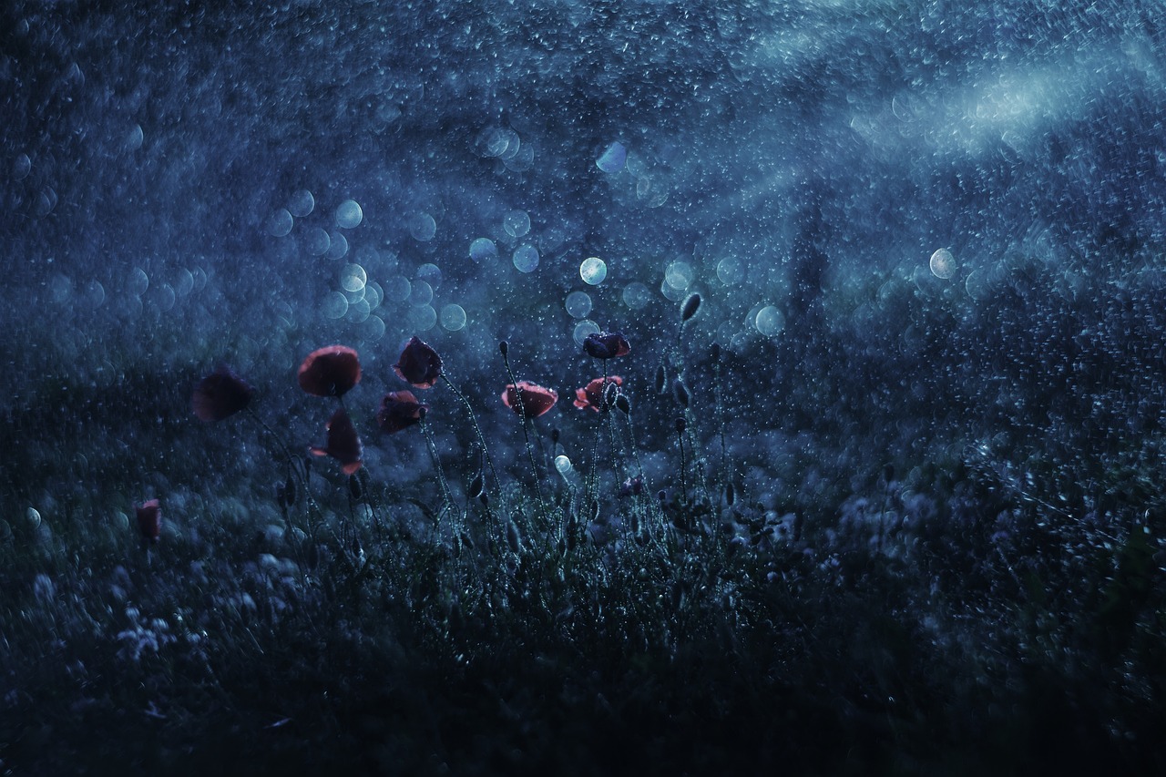 過野終章揭曉，未知旅程與命運(yùn)歸宿的探尋