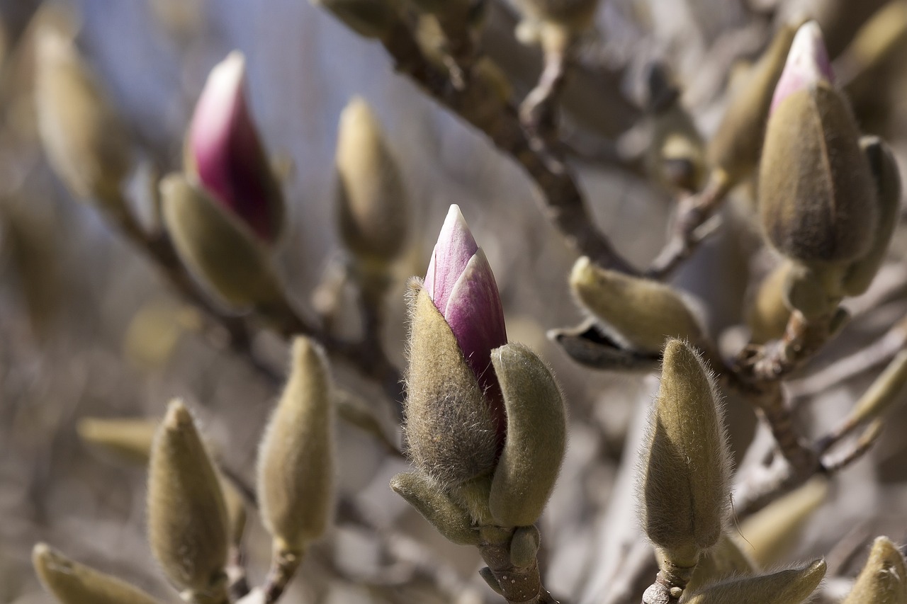 重慶渝昆高鐵最新動態(tài)更新，最新消息一覽