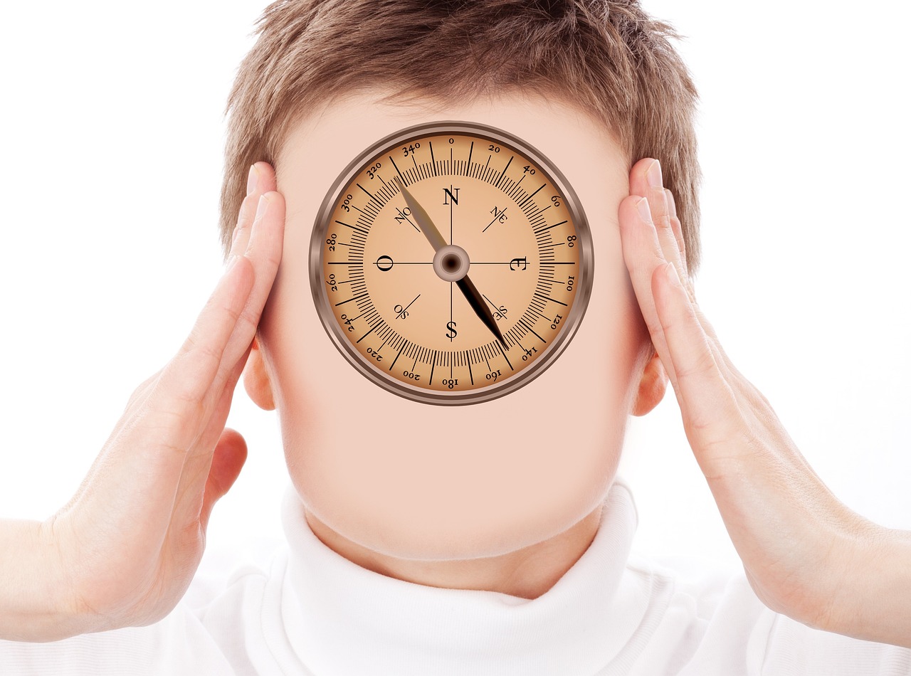 上海手表大全，價格解析、購買指南與價格概覽