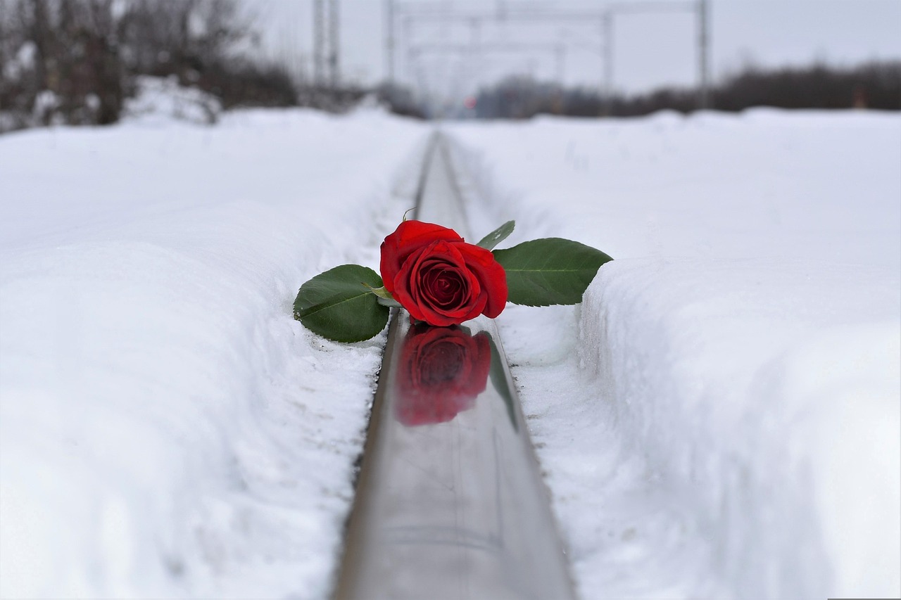 喜了最新小說泥濘情感發(fā)布，情感糾葛引人深思