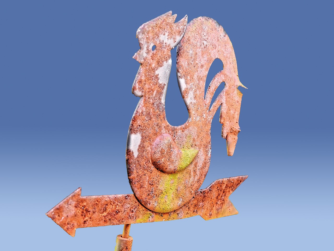 探索與發(fā)現(xiàn)的風(fēng)向標(biāo)，最新風(fēng)臺(tái)動(dòng)態(tài)揭秘