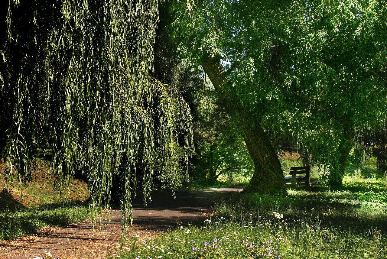 周立波最新動態(tài)揭秘，舞臺人生之路的璀璨之旅