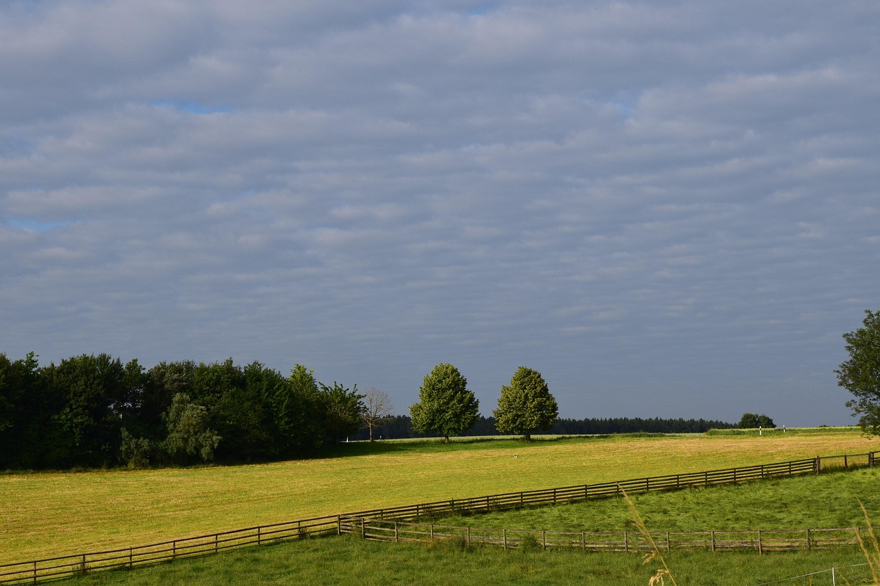 司法部王進義最新資訊概覽，全面解讀其最新動態(tài)與成就