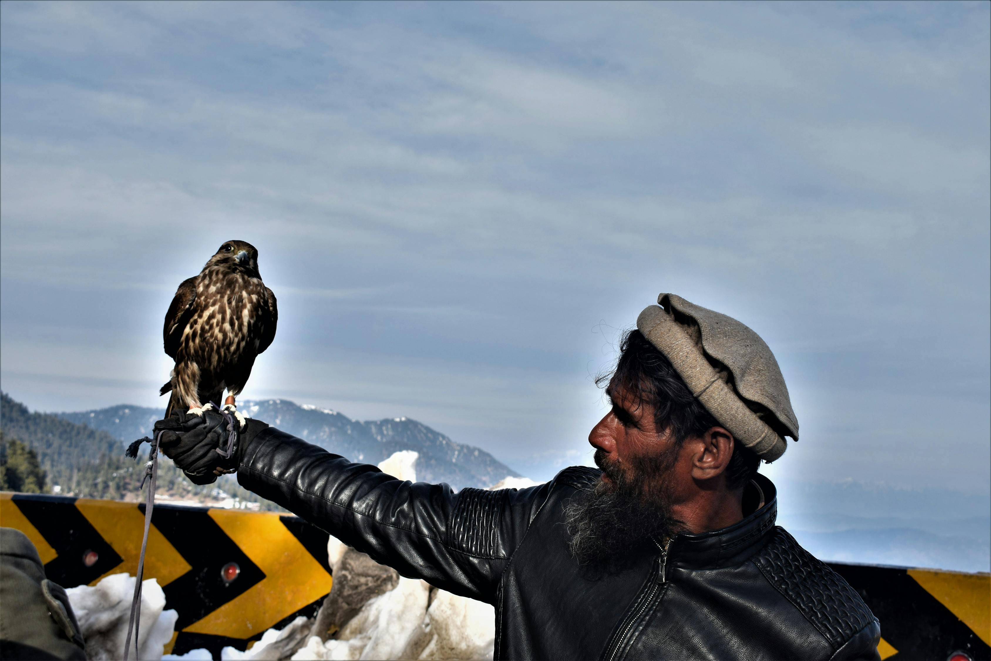 探索未來(lái)之迷與人類生存挑戰(zhàn)，最新末日預(yù)言者的警示