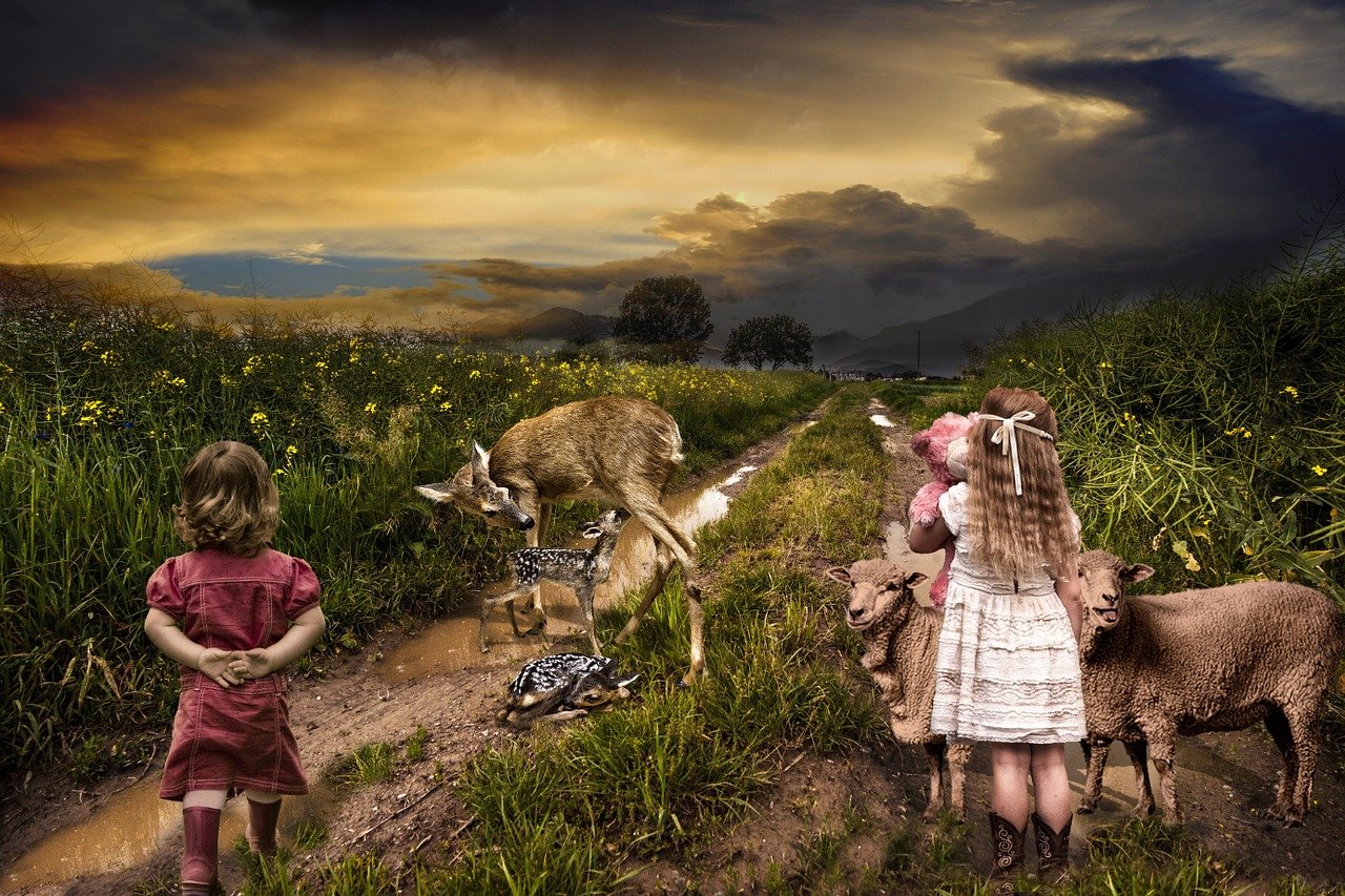 靈域電視劇，奇幻世界的探索之旅