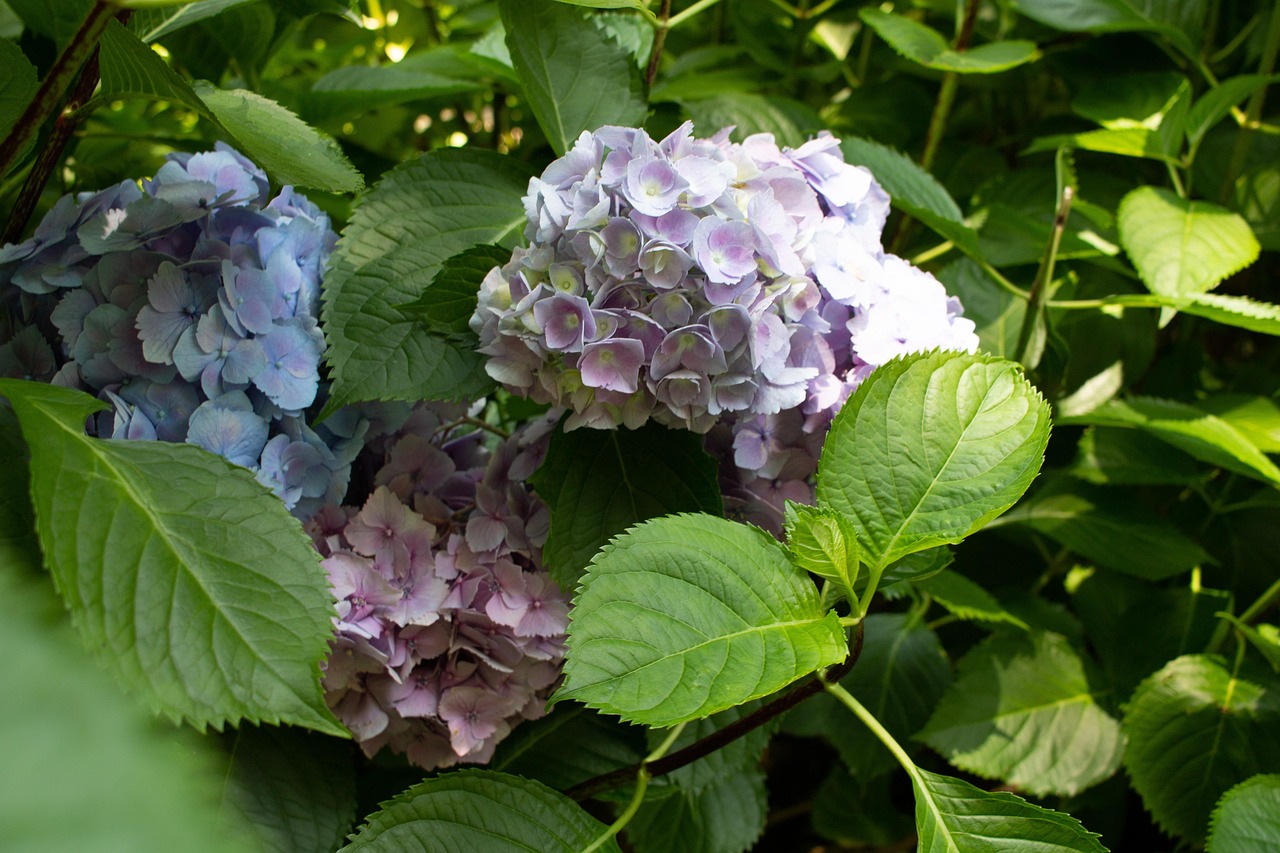 竹排江中游 第34頁