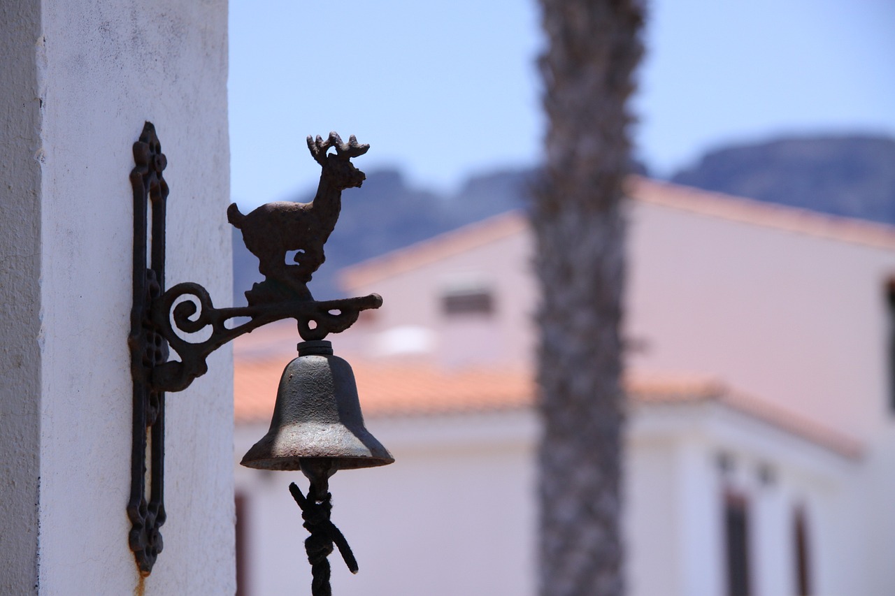 花生米市場最新動態(tài)概覽