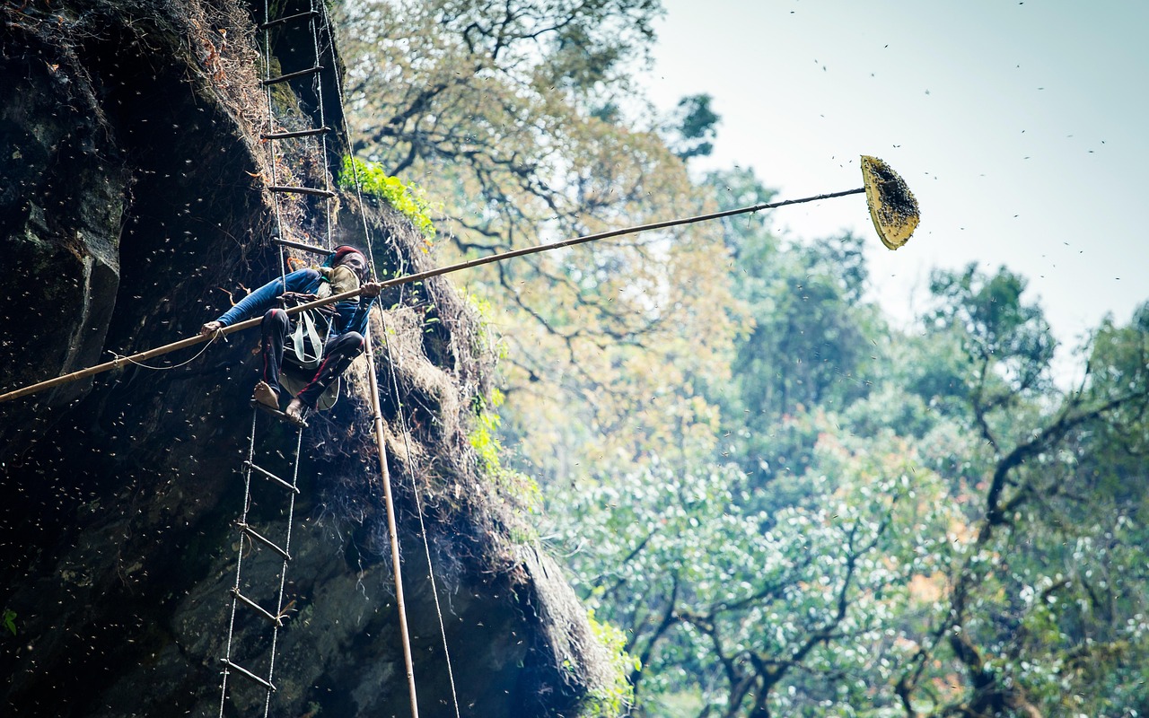 寧靜最新動(dòng)態(tài)，音樂與生活的和諧共鳴之旅
