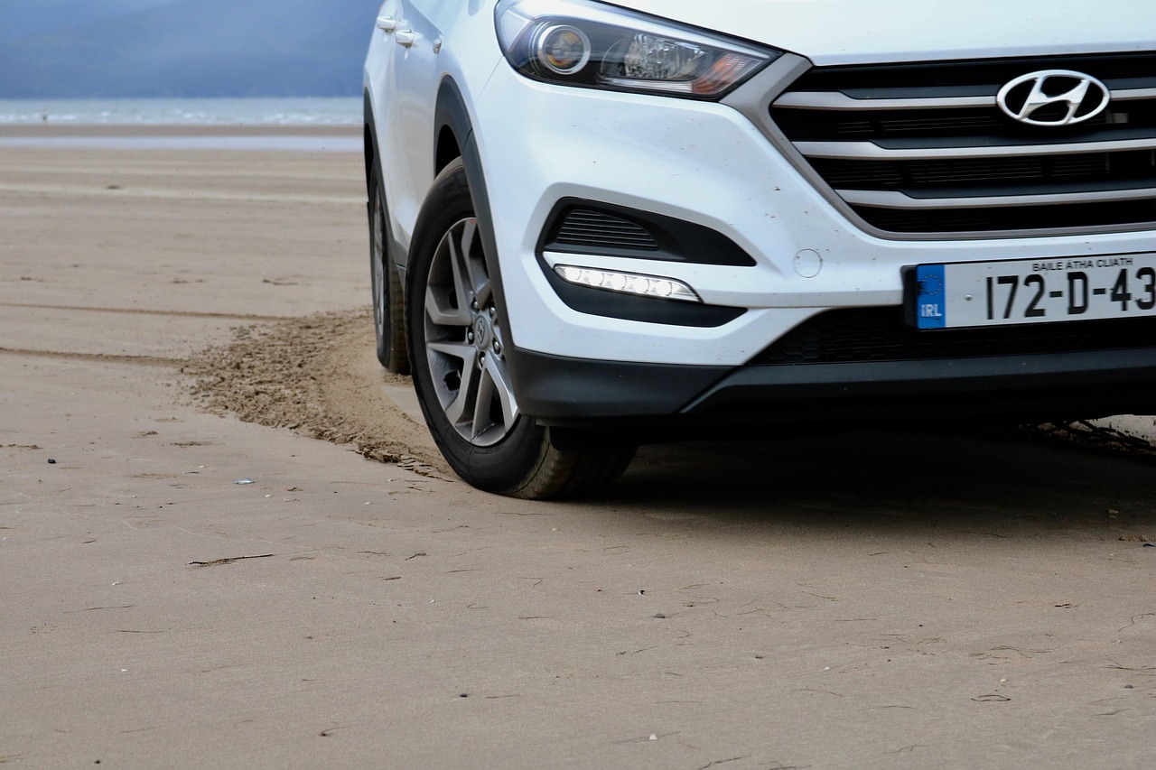 探究人類內(nèi)心偏執(zhí)欲的動(dòng)態(tài)與驅(qū)動(dòng)力