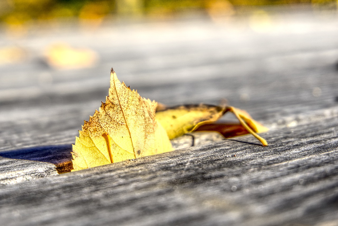 大橙先生 第34頁