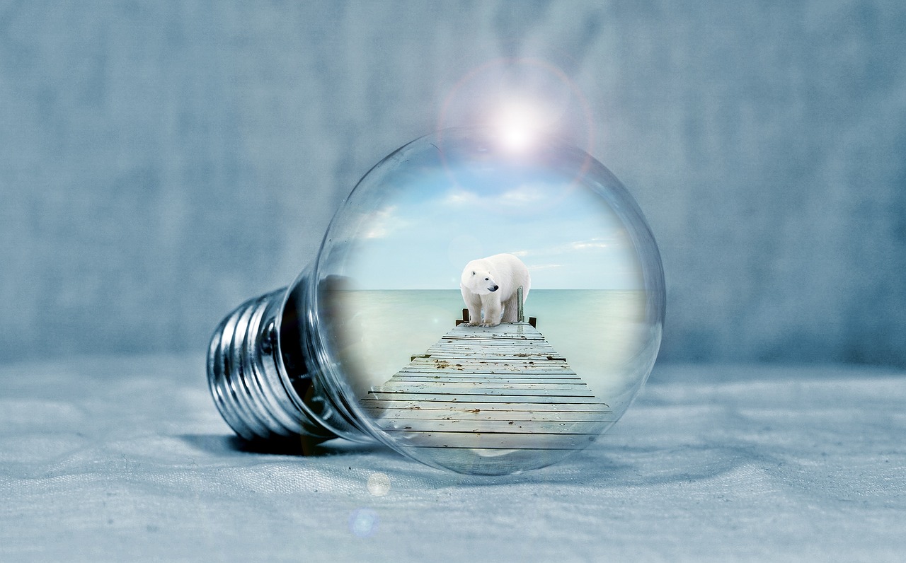 句子之力，構(gòu)建語(yǔ)言美的基石