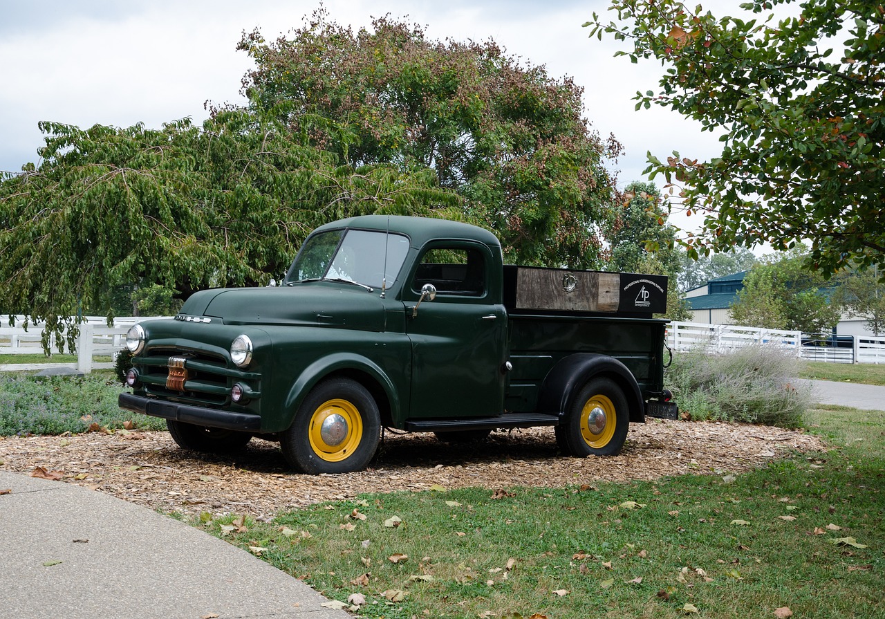 華僑城限售股上市解析，何時上市？全面解析其動態(tài)！