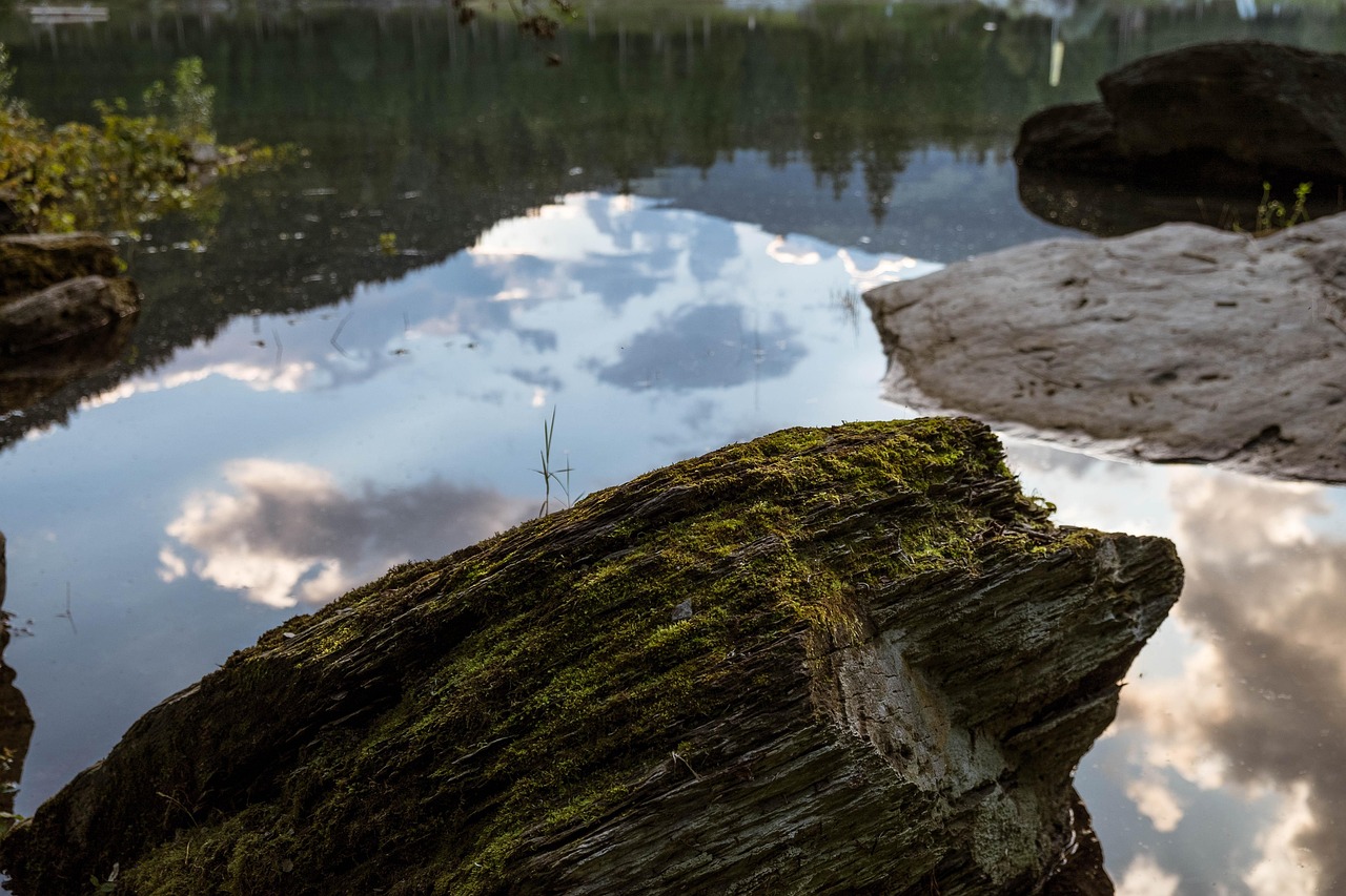 礫之演員，磨礪與光芒的旅程