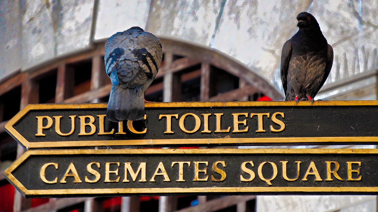 最新網(wǎng)頁(yè)游戲大盤(pán)點(diǎn)，探索當(dāng)下最熱門(mén)的游戲世界